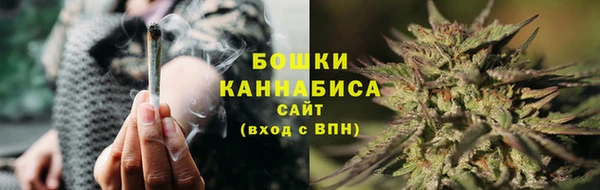 сатива Арсеньев