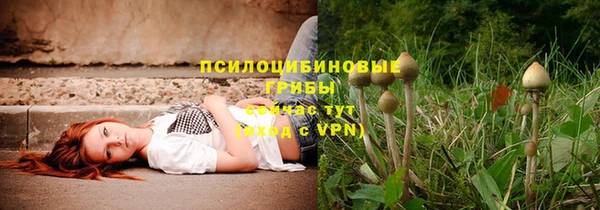 MDMA Premium VHQ Аркадак