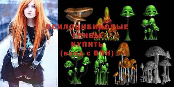 MDMA Premium VHQ Аркадак