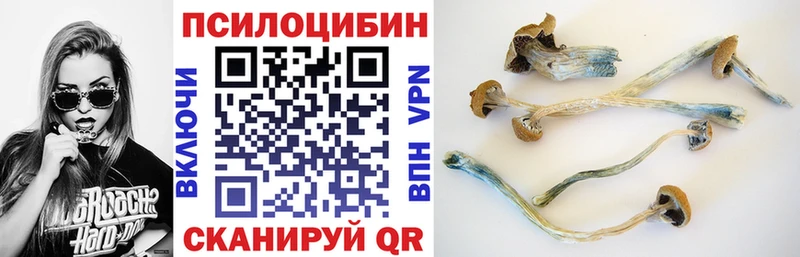 Галлюциногенные грибы MAGIC MUSHROOMS  Купить где  Яхрома 
